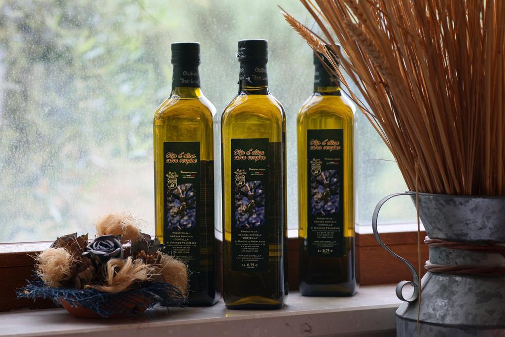 Agricostella Agriturismo ויאסטה מראה חיצוני תמונה